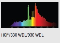  ������ ���� �����